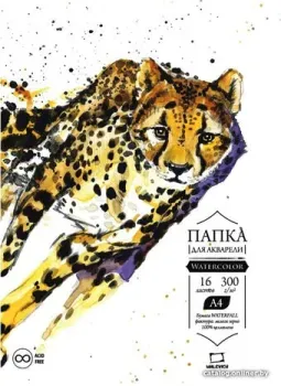 Малевичъ Waterfall 402203 (16 л)