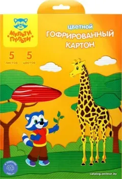 Мульти-пульти Приключения Енота КГ5А4_11094 (5 цв)