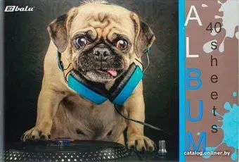 BALU Собака. Pug and music BL-4081 (40 л)