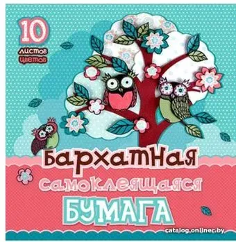Hatber Совушки 10Ббх5с-14477