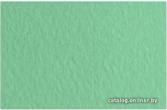 Fabriano Tiziano 52551013 (шалфей)