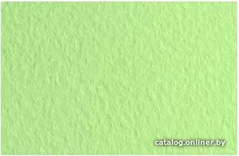 Fabriano Tiziano 52551011 (салатовый теплый)