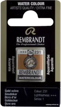 Rembrandt 231 05862311 (1.3 мл, охра золотая)