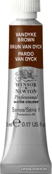 Winsor & Newton Professional №676 102676 (5 мл, коричневый Ван Дейка)