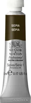 Winsor & Newton Professional №609 102609 (5 мл, сепия)