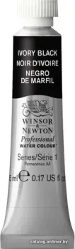 Winsor & Newton Professional 102331 (5 мл, жженая кость)