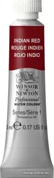 Winsor & Newton Professional 102317 (5 мл, индийский красный)
