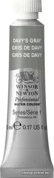 Winsor & Newton Professional 102217 (5 мл, серый дэйвис)