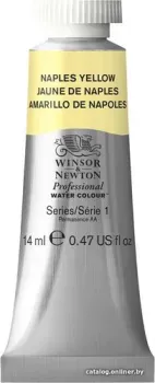 Winsor & Newton Professional 105422 (14 мл, неаполитанский желтый)