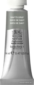 Winsor & Newton Professional 105217 (14 мл, серый Дэви)