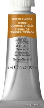 Winsor & Newton Professional 105076 (14 мл, жженая умбра)