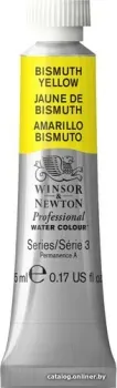 Winsor & Newton Professional №025 102025 (5 мл, желтый висмут)