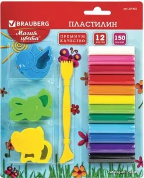 BRAUBERG 224462 (12 цв)