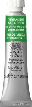 Winsor & Newton Professional №503 102503 (5 мл, зеленая крушина)