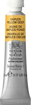 Winsor & Newton Professional №425 102425 (5 мл, желтый неапольский насыщенный)