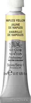 Winsor & Newton Professional №422 102422 (5 мл, туба, желтый неапольский)