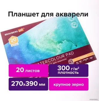 BRAUBERG Art Premiere 113250 (20 л)