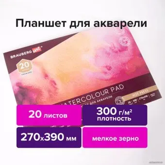 BRAUBERG Art Premiere 113249 (20 л)