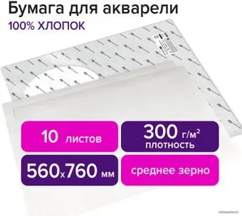 BRAUBERG Art Premiere 113236 (10 л)