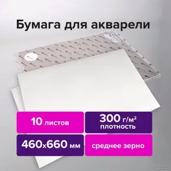 BRAUBERG Art Premiere 113233 (10 л)