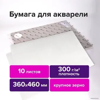 BRAUBERG Art Premiere 113229 (10 л)
