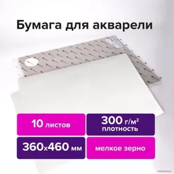 BRAUBERG Art Premiere 113227 (10 л)