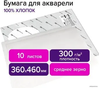 BRAUBERG Art Premiere 113226 (10 л)