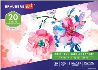 BRAUBERG Art 106141 (20 л)