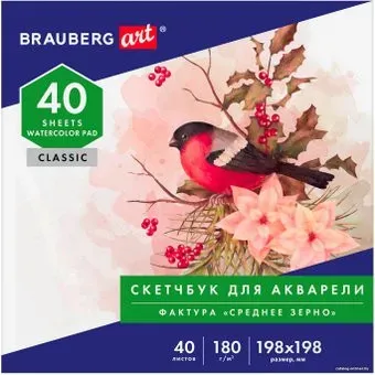 BRAUBERG Art Classic 105928 (40 л)