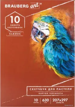 BRAUBERG Art Classic 105922 (10 л)