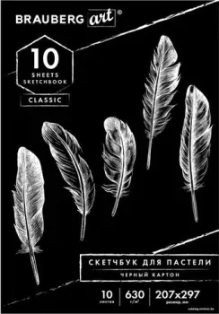 BRAUBERG Art Classic 105918 (10 л)