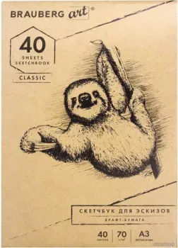 BRAUBERG Art Classic 105913 (40 л)