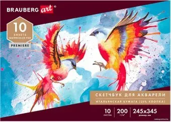BRAUBERG Art 105911 (10 л)