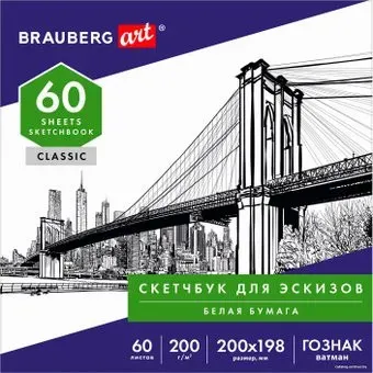 BRAUBERG Art Classic 105909 (60 л)