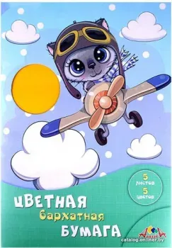 Апплика Смелый пилот А4 С0198-11 (5 л)