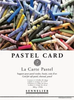 Sennelier Pastel Card N136752 (12л)