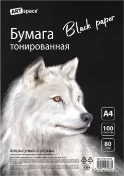 ArtSpace тонир. черная для печати и эскизов БТ100_45938 (100 л)