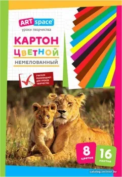 ArtSpace цветной Нкн16-8_6961 (16 л)
