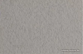Fabriano Tiziano 52551028 (серый теплый)