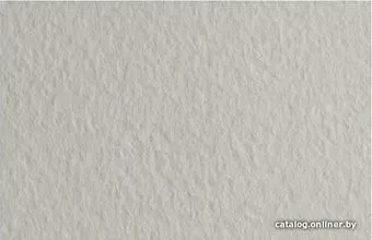 Fabriano Tiziano 52551026 (серый светлый)