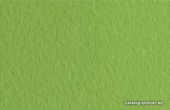 Fabriano Tiziano 52551014 (оливковый)