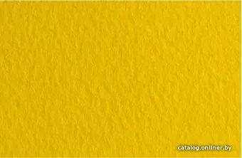 Fabriano Tiziano 21297144 (золото)