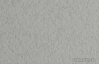 Fabriano Tiziano 21297129 (серый холодный)