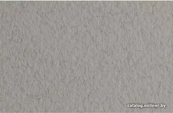 Fabriano Tiziano 21297128 (серый теплый)