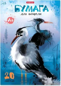 Erich Krause Птицы жарких стран 43369
