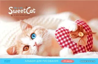 ArtSpace Питомцы. Котик А24_36000 (24 л)
