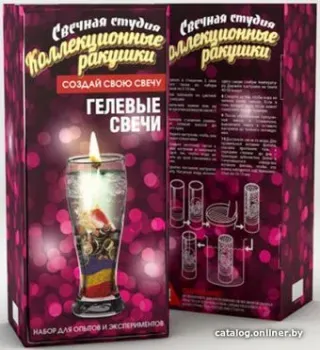 Инновации для детей Коллекционные ракушки 724