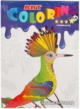 Leader Toys Coloring Art МТ31029