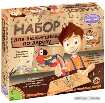 Bondibon Выжигательный аппарат с дощечкой и красками ВВ1413