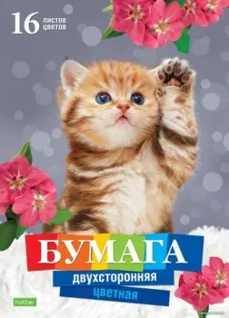 Hatber Котенок 16Бц4_20982 (16 цв.)